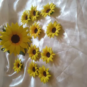 Toppers girasoles's photo #1