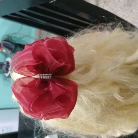 Lazo pomposo organza( par) — imagen 2