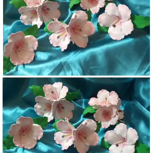 Flores Hawaianas foami.Topper — imagen 1
