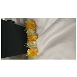 Orquídea bebé miniatura 1